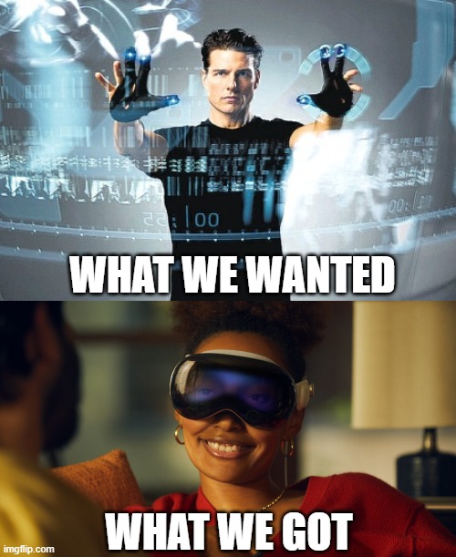 Apple Vision Pro | WHAT WE WANTED; WHAT WE GOT | image tagged in apple,technology,facepalm | made w/ Imgflip meme maker