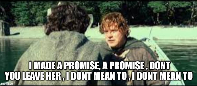about yesterday | I MADE A PROMISE, A PROMISE , DONT YOU LEAVE HER , I DONT MEAN TO , I DONT MEAN TO | image tagged in lord of the rings | made w/ Imgflip meme maker