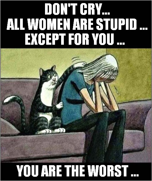 Cats Can Be A Comfort ... Sometimes ... | DON'T CRY...
 ALL WOMEN ARE STUPID ...
EXCEPT FOR YOU ... YOU ARE THE WORST ... | image tagged in cats,comfort,don't cry | made w/ Imgflip meme maker