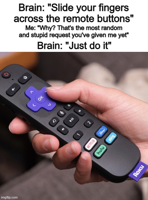 Why do we do this? *Confusion* | Brain: "Slide your fingers across the remote buttons"; Me: "Why? That's the most random and stupid request you've given me yet"; Brain: "Just do it" | image tagged in relatable | made w/ Imgflip meme maker