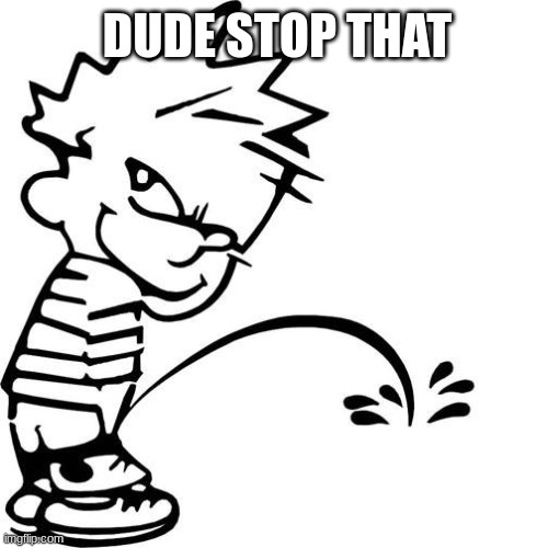 Calvin Peeing | DUDE STOP THAT | image tagged in calvin peeing | made w/ Imgflip meme maker