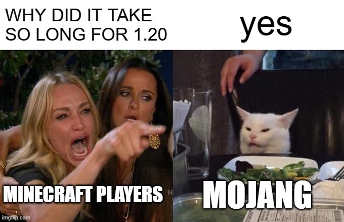 Woman Yelling At Cat | yes; WHY DID IT TAKE SO LONG FOR 1.20; MINECRAFT PLAYERS; MOJANG | image tagged in memes,woman yelling at cat | made w/ Imgflip meme maker