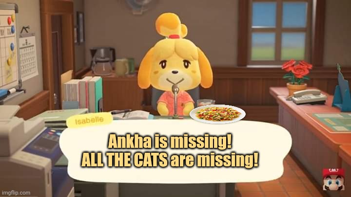 Fried rice lore | Ankha is missing! ALL THE CATS are missing! | image tagged in isabelle animal crossing announcement,fried rice,lore,isabelle,animal crossing | made w/ Imgflip meme maker