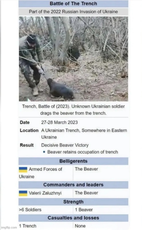 Ukraine war | image tagged in ukraine war | made w/ Imgflip meme maker