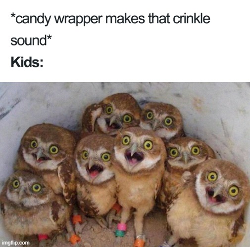 "Who wants candy?" :D | made w/ Imgflip meme maker