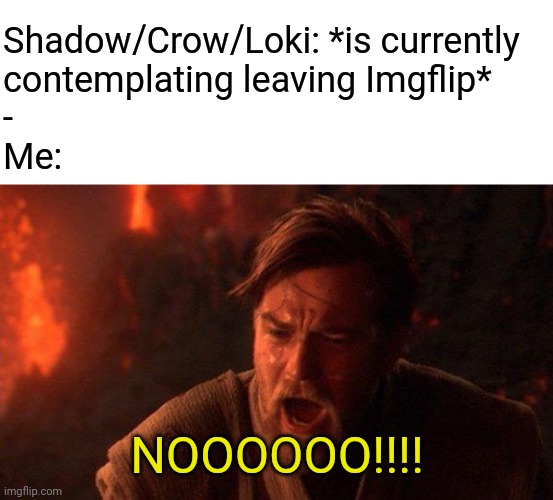 Shadow/Crow/Loki: *is currently
contemplating leaving Imgflip*
-
Me: NOOOOOO!!!! | image tagged in blank white template,memes,you were the chosen one star wars | made w/ Imgflip meme maker