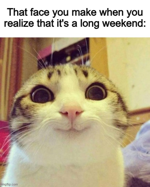 Relaxing time :D | That face you make when you realize that it's a long weekend: | image tagged in memes,smiling cat | made w/ Imgflip meme maker