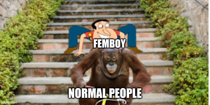 Monke | FEMBOY; NORMAL PEOPLE | image tagged in fun | made w/ Imgflip meme maker