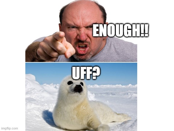 Special Seal Says "Uff!!" | ENOUGH!! UFF? | image tagged in awkward seal | made w/ Imgflip meme maker