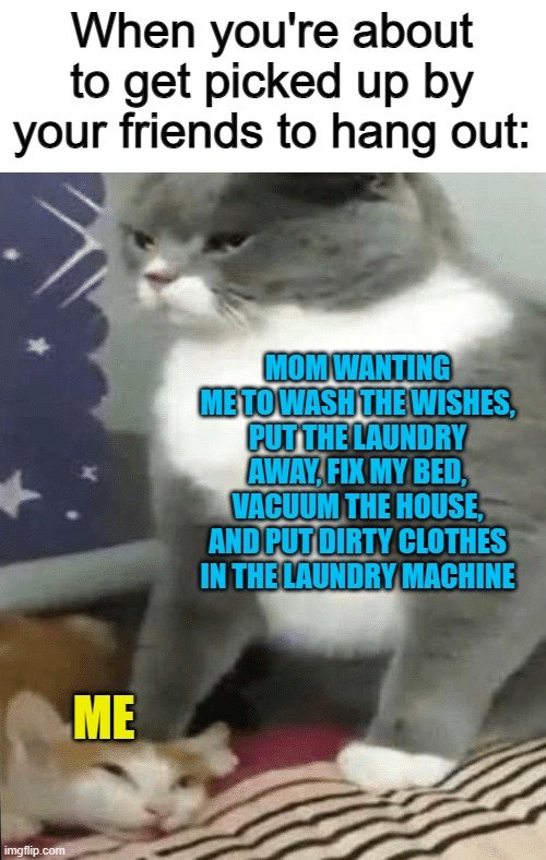 There's not enough time mom :< | When you're about to get picked up by your friends to hang out:; MOM WANTING ME TO WASH THE WISHES, PUT THE LAUNDRY AWAY, FIX MY BED, VACUUM THE HOUSE, AND PUT DIRTY CLOTHES IN THE LAUNDRY MACHINE; ME | image tagged in cat crushing cat | made w/ Imgflip meme maker