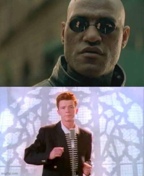 What if I told yo | image tagged in funny | made w/ Imgflip meme maker