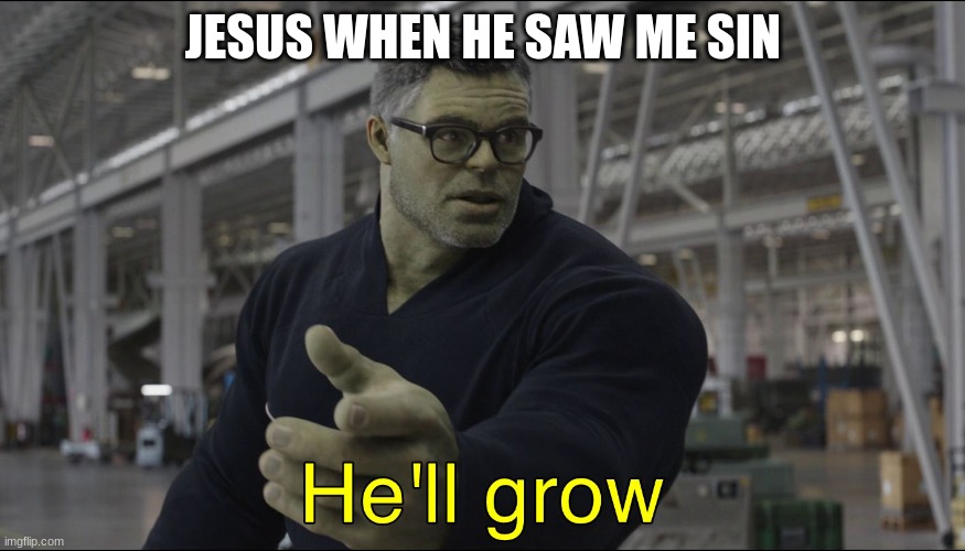 he'll grow | JESUS WHEN HE SAW ME SIN | image tagged in he'll grow | made w/ Imgflip meme maker