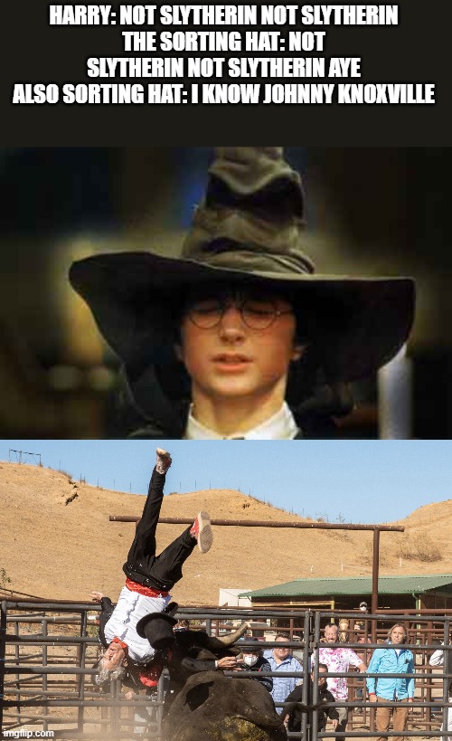 HARRY: NOT SLYTHERIN NOT SLYTHERIN
THE SORTING HAT: NOT SLYTHERIN NOT SLYTHERIN AYE
ALSO SORTING HAT: I KNOW JOHNNY KNOXVILLE | image tagged in harry potter sorting hat,johnny knoxville magician bull fighter | made w/ Imgflip meme maker