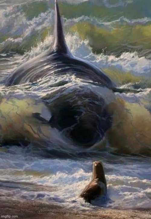 Killer whale eats seal | image tagged in killer whale eats seal | made w/ Imgflip meme maker