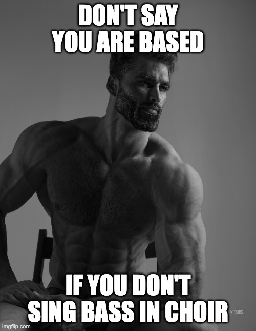 fr | DON'T SAY YOU ARE BASED; IF YOU DON'T SING BASS IN CHOIR | image tagged in giga chad | made w/ Imgflip meme maker