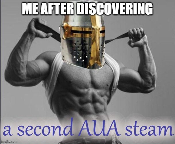 urlocalnerd the second | ME AFTER DISCOVERING; a second AUA steam | image tagged in crusader giga chad | made w/ Imgflip meme maker