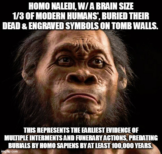 Prehistory? their symbols are as yet undeciphered - they may be writing! | HOMO NALEDI, W/ A BRAIN SIZE 1/3 OF MODERN HUMANS', BURIED THEIR DEAD & ENGRAVED SYMBOLS ON TOMB WALLS. THIS REPRESENTS THE EARLIEST EVIDENCE OF MULTIPLE INTERMENTS AND FUNERARY ACTIONS, PREDATING BURIALS BY HOMO SAPIENS BY AT LEAST 100,000 YEARS. | image tagged in memes | made w/ Imgflip meme maker