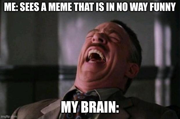 ha ha ha ha  | ME: SEES A MEME THAT IS IN NO WAY FUNNY; MY BRAIN: | image tagged in ha ha ha ha | made w/ Imgflip meme maker