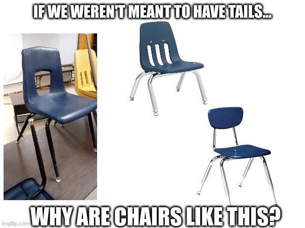 But why? | IF WE WEREN'T MEANT TO HAVE TAILS... WHY ARE CHAIRS LIKE THIS? | image tagged in furry memes,why are you reading the tags | made w/ Imgflip meme maker