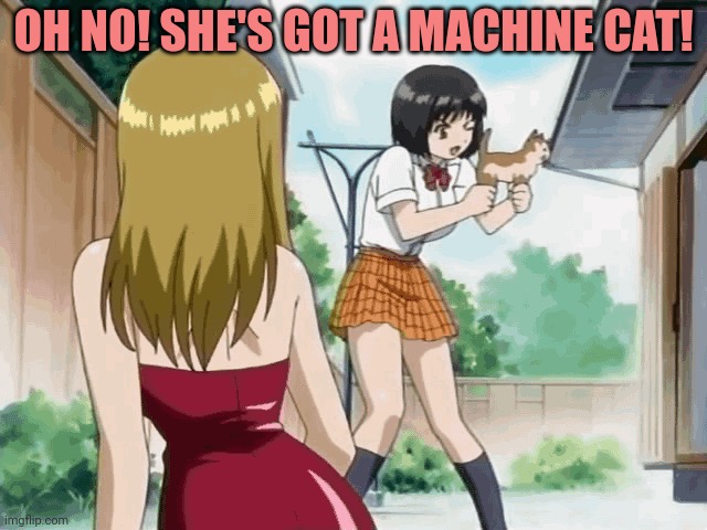 Run. | OH NO! SHE'S GOT A MACHINE CAT! | image tagged in run,anime girl,with gun cat | made w/ Imgflip meme maker