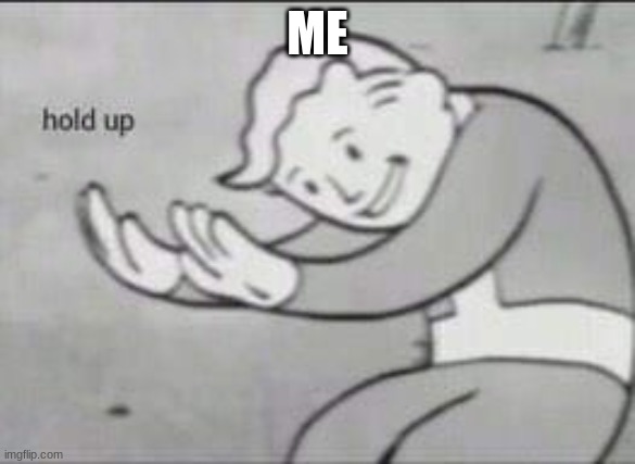 Fallout Hold Up | ME | image tagged in fallout hold up | made w/ Imgflip meme maker