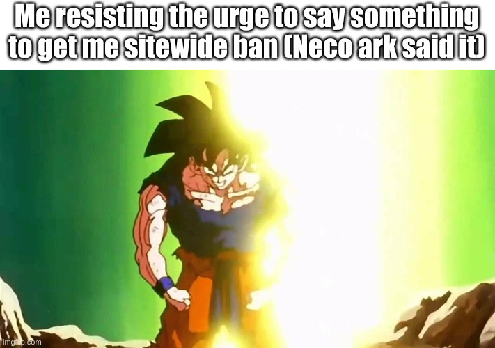 Angry Goku | Me resisting the urge to say something to get me sitewide ban (Neco ark said it) | image tagged in angry goku | made w/ Imgflip meme maker