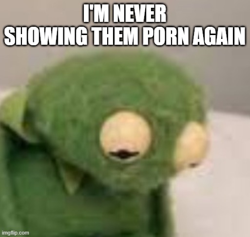 I'M NEVER SHOWING THEM PORN AGAIN | made w/ Imgflip meme maker