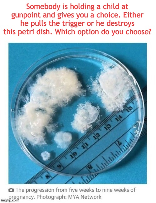 The Forced-Birther Conundrum | Somebody is holding a child at gunpoint and gives you a choice. Either he pulls the trigger or he destroys this petri dish. Which option do you choose? | image tagged in abortion,pro life,roe v wade,republicans | made w/ Imgflip meme maker