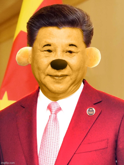 Xi Jinping Winnie the Poo | image tagged in xi jinping winnie the poo | made w/ Imgflip meme maker