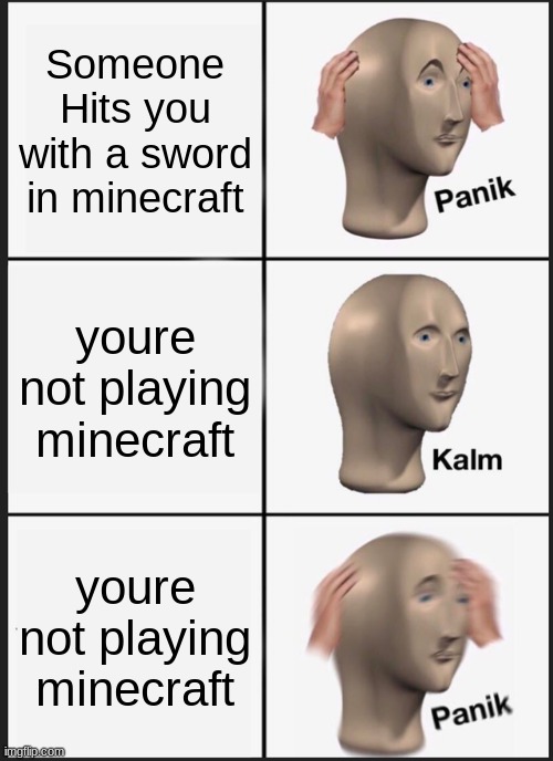 POV: | Someone Hits you with a sword in minecraft; youre not playing minecraft; youre not playing minecraft | image tagged in memes,panik kalm panik | made w/ Imgflip meme maker