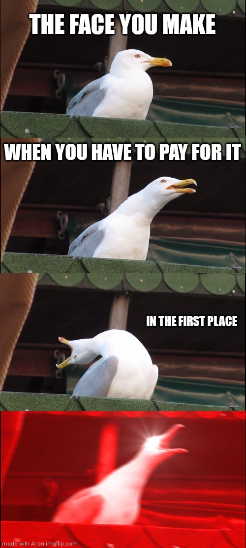 Inhaling Seagull | THE FACE YOU MAKE; WHEN YOU HAVE TO PAY FOR IT; IN THE FIRST PLACE | image tagged in memes,inhaling seagull | made w/ Imgflip meme maker