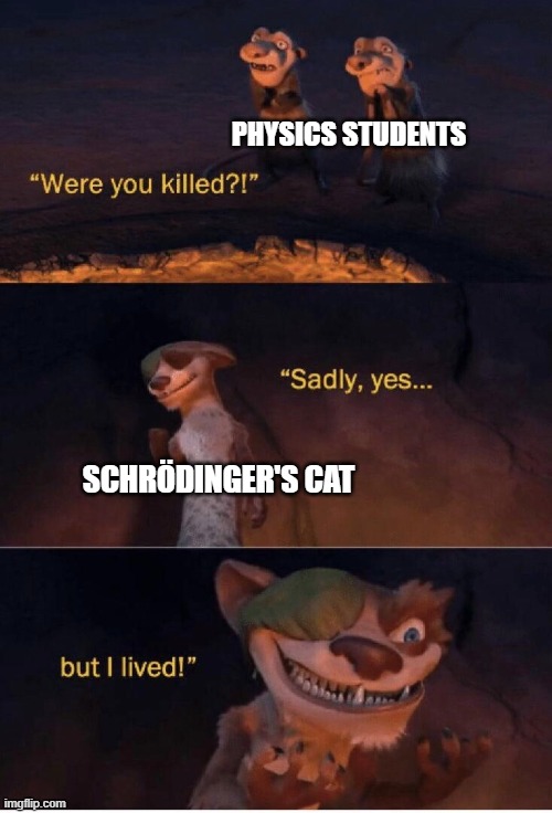 ...And Then I Was Dead Again! | PHYSICS STUDENTS; SCHRÖDINGER'S CAT | image tagged in sadly yes but i lived | made w/ Imgflip meme maker