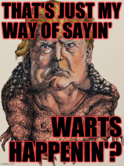 THAT'S JUST MY
WAY OF SAYIN' WARTS
HAPPENIN'? | made w/ Imgflip meme maker