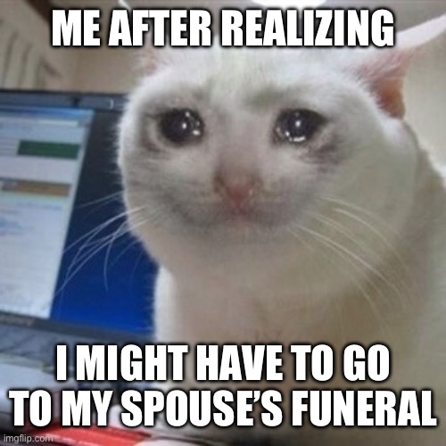 This is so scary | ME AFTER REALIZING; I MIGHT HAVE TO GO TO MY SPOUSE’S FUNERAL | image tagged in crying cat,memes,spouse,funeral | made w/ Imgflip meme maker
