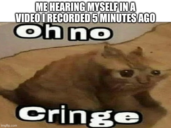 Oh no, CRINGE | ME HEARING MYSELF IN A VIDEO I RECORDED 5 MINUTES AGO | image tagged in dies from cringe | made w/ Imgflip meme maker