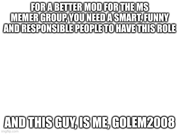 Blank White Template | FOR A BETTER MOD FOR THE MS MEMER GROUP, YOU NEED A SMART, FUNNY AND RESPONSIBLE PEOPLE TO HAVE THIS ROLE; AND THIS GUY, IS ME, GOLEM2008 | image tagged in blank white template | made w/ Imgflip meme maker