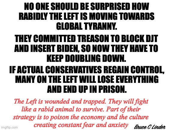 The key word is, 'IF' | NO ONE SHOULD BE SURPRISED HOW
RABIDLY THE LEFT IS MOVING TOWARDS
GLOBAL TYRANNY. THEY COMMITTED TREASON TO BLOCK DJT
AND INSERT BIDEN, SO NOW THEY HAVE TO
KEEP DOUBLING DOWN. IF ACTUAL CONSERVATIVES REGAIN CONTROL,
MANY ON THE LEFT WILL LOSE EVERYTHING
AND END UP IN PRISON. The Left is wounded and trapped. They will fight
like a rabid animal to survive. Part of their
strategy is to poison the economy and the culture
creating constant fear and anxiety; Bruce C Linder | image tagged in global tyranny,anxiety,fear,control,treason,liberals | made w/ Imgflip meme maker