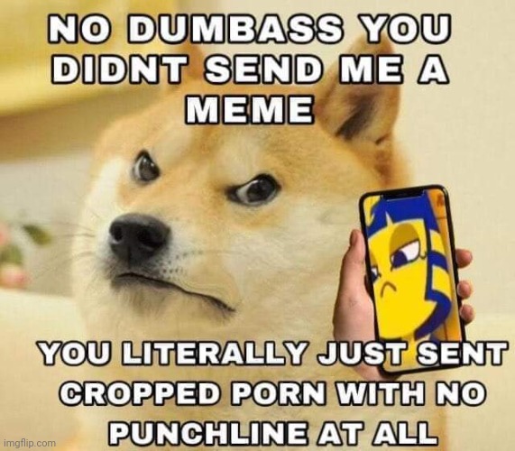 No dumbass you didn't send me a meme | image tagged in no dumbass you didn't send me a meme | made w/ Imgflip meme maker