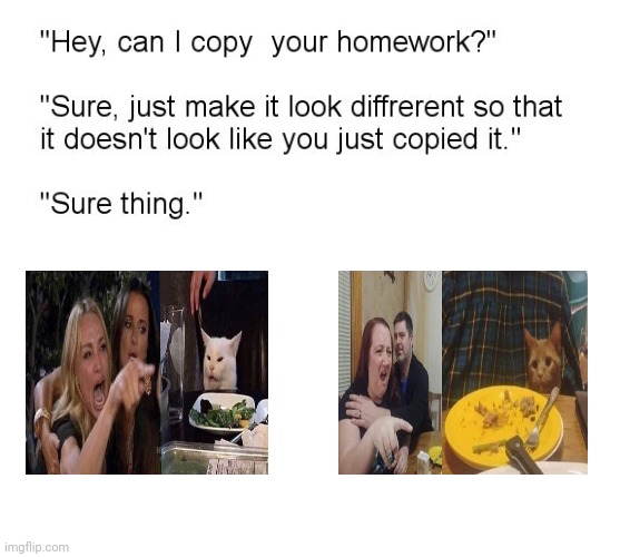 Woman yelling at cat | image tagged in hey can i copy your homework,woman yelling at cat,woman yelling at a cat,woman yelling at white cat,memes,meme | made w/ Imgflip meme maker