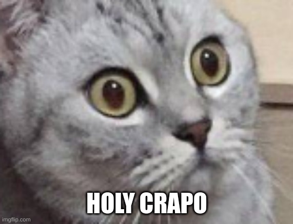 HOLY CRAPO | made w/ Imgflip meme maker