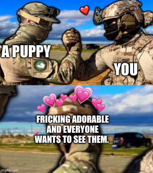 I return | ❤️; YOU; A PUPPY; FRICKING ADORABLE AND EVERYONE WANTS TO SEE THEM. | image tagged in soldiers teaming,wholesome | made w/ Imgflip meme maker