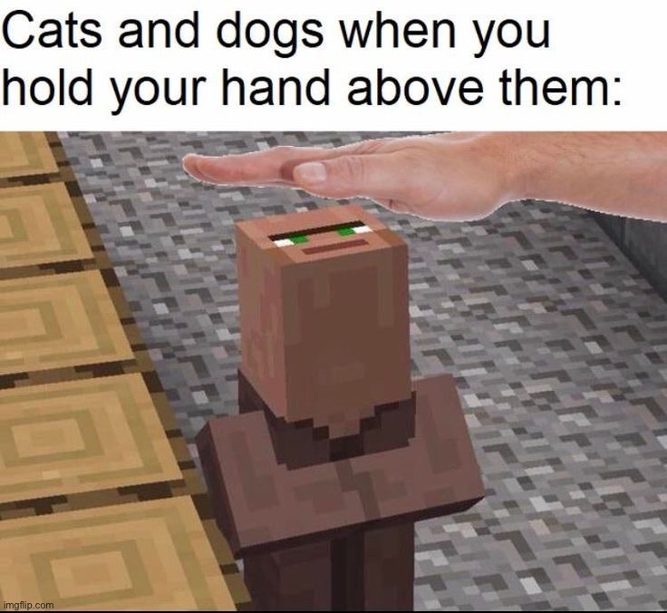 image tagged in memes,funny | made w/ Imgflip meme maker