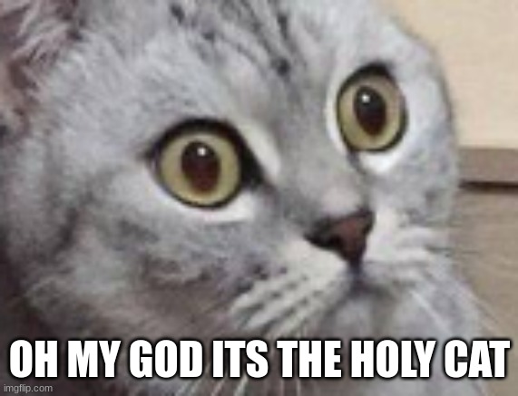 OH MY GOD ITS THE HOLY CAT | made w/ Imgflip meme maker