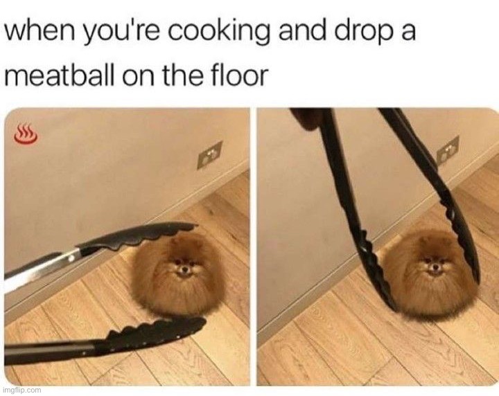 image tagged in memes,funny | made w/ Imgflip meme maker
