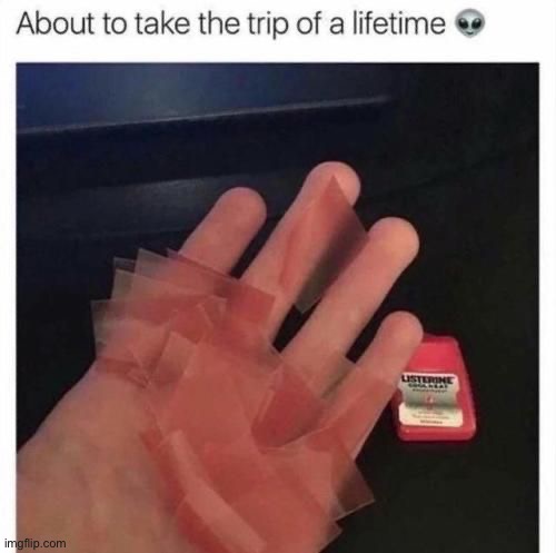 image tagged in memes,funny | made w/ Imgflip meme maker