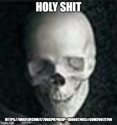 Skull | HOLY SHIT; HTTPS://IMGFLIP.COM/I/7OGCPN?NERP=1686077493#COM26072749 | image tagged in skull | made w/ Imgflip meme maker