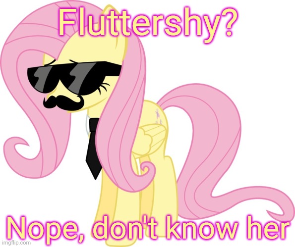 disguised fluttershy | Fluttershy? Nope, don't know her | image tagged in disguised fluttershy | made w/ Imgflip meme maker