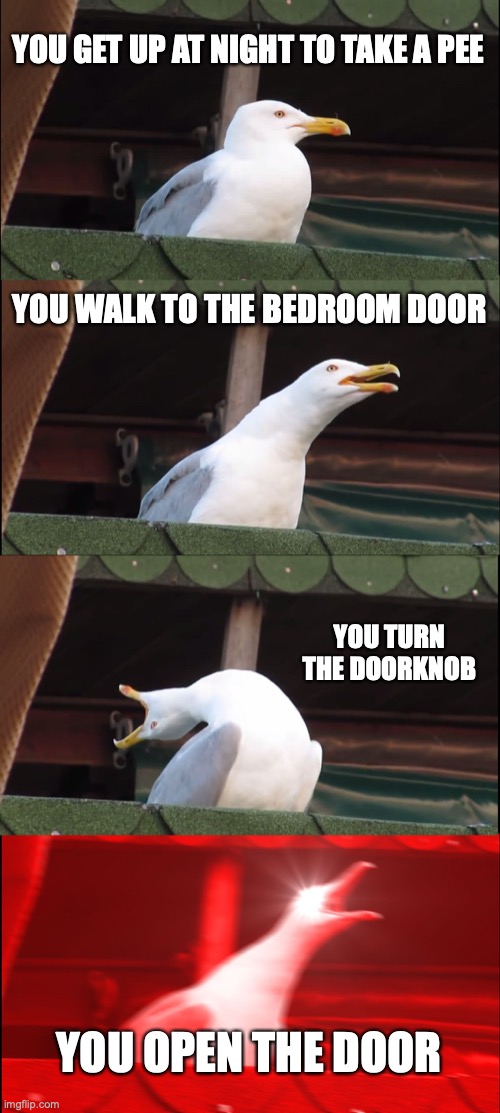 Inhaling Seagull | YOU GET UP AT NIGHT TO TAKE A PEE; YOU WALK TO THE BEDROOM DOOR; YOU TURN THE DOORKNOB; YOU OPEN THE DOOR | image tagged in memes,inhaling seagull | made w/ Imgflip meme maker