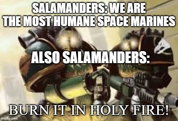 BURN IT IN HOLY FIRE! 3 | SALAMANDERS: WE ARE THE MOST HUMANE SPACE MARINES; ALSO SALAMANDERS: | image tagged in burn it in holy fire 3 | made w/ Imgflip meme maker