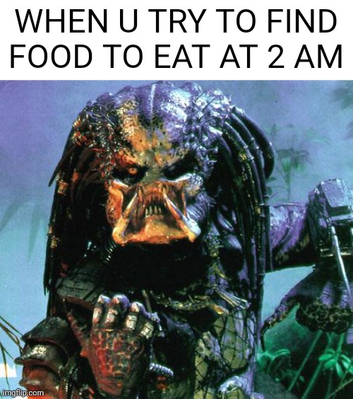 Predator needs some cookies | WHEN U TRY TO FIND FOOD TO EAT AT 2 AM | image tagged in predator | made w/ Imgflip meme maker